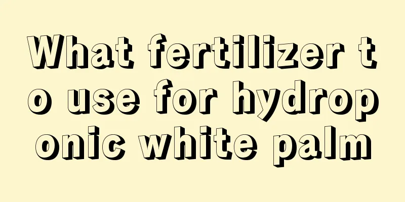 What fertilizer to use for hydroponic white palm