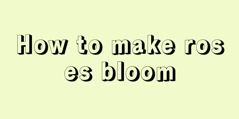 How to make roses bloom