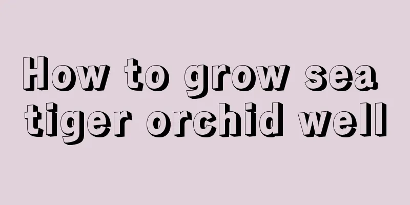 How to grow sea tiger orchid well