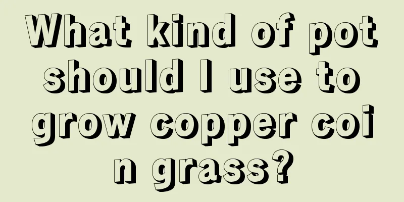 What kind of pot should I use to grow copper coin grass?