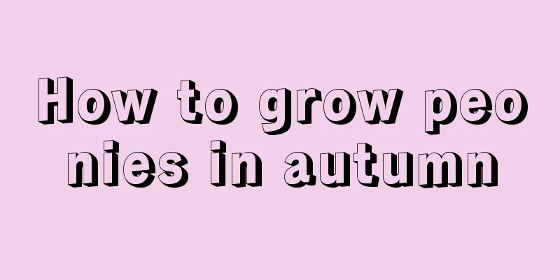 How to grow peonies in autumn