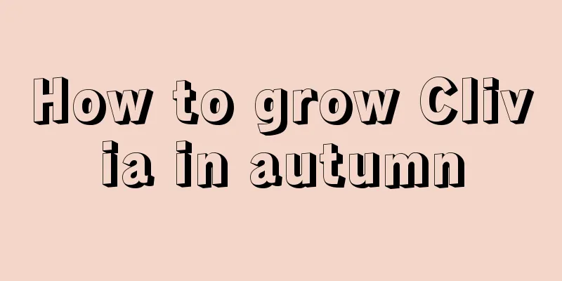 How to grow Clivia in autumn