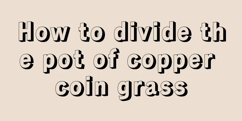 How to divide the pot of copper coin grass