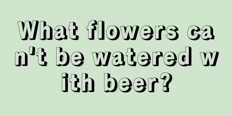 What flowers can't be watered with beer?