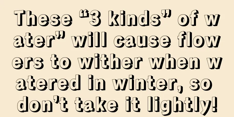 These “3 kinds” of water” will cause flowers to wither when watered in winter, so don’t take it lightly!