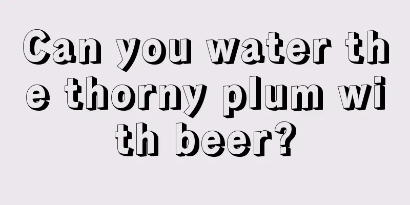 Can you water the thorny plum with beer?