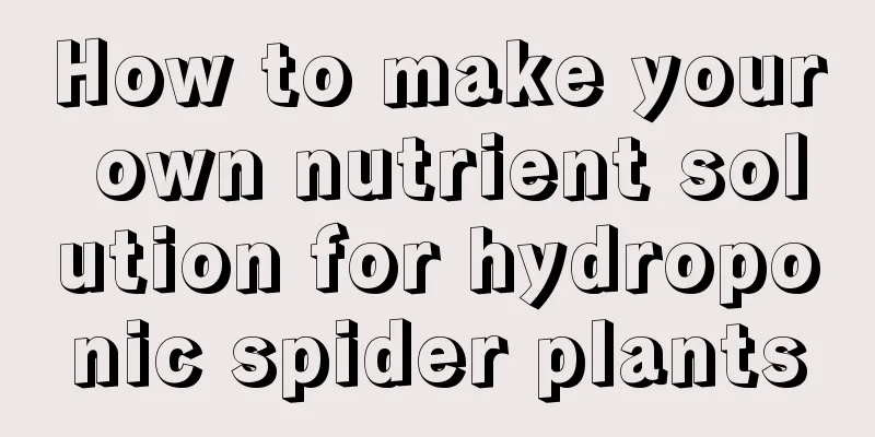 How to make your own nutrient solution for hydroponic spider plants