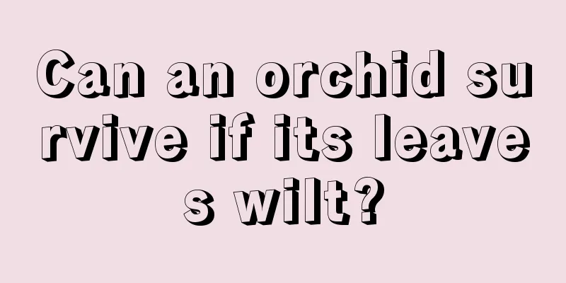 Can an orchid survive if its leaves wilt?