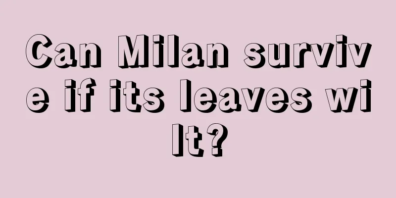 Can Milan survive if its leaves wilt?