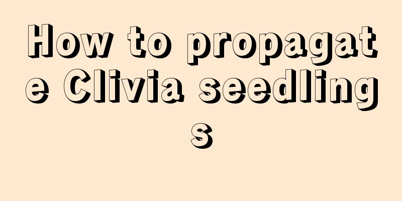 How to propagate Clivia seedlings