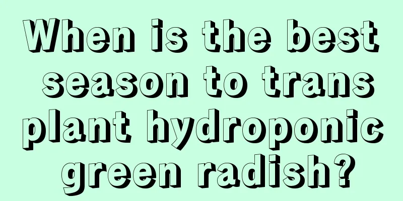 When is the best season to transplant hydroponic green radish?