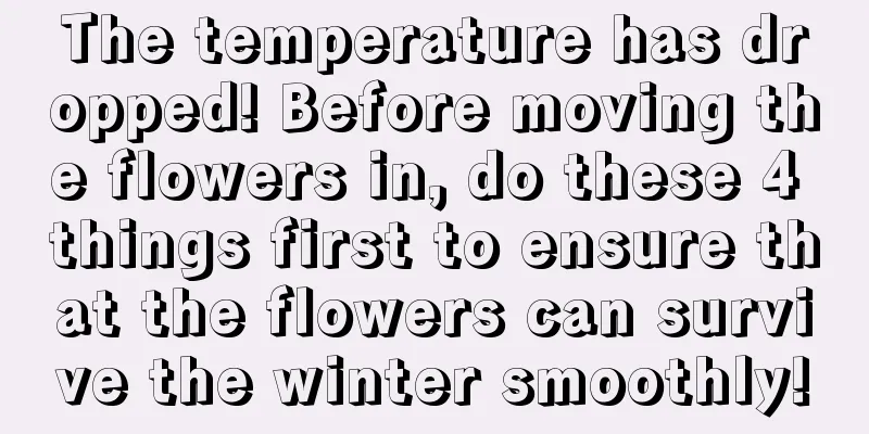 The temperature has dropped! Before moving the flowers in, do these 4 things first to ensure that the flowers can survive the winter smoothly!