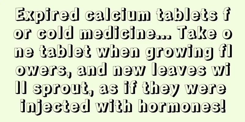 Expired calcium tablets for cold medicine... Take one tablet when growing flowers, and new leaves will sprout, as if they were injected with hormones!