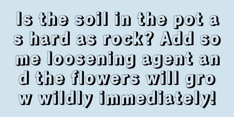 Is the soil in the pot as hard as rock? Add some loosening agent and the flowers will grow wildly immediately!