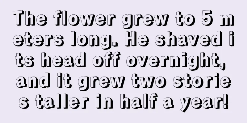 The flower grew to 5 meters long. He shaved its head off overnight, and it grew two stories taller in half a year!