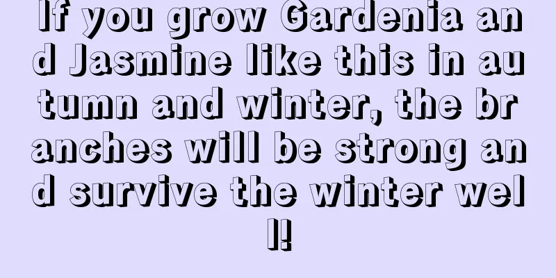 If you grow Gardenia and Jasmine like this in autumn and winter, the branches will be strong and survive the winter well!