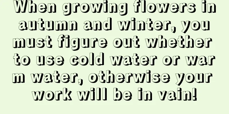 When growing flowers in autumn and winter, you must figure out whether to use cold water or warm water, otherwise your work will be in vain!