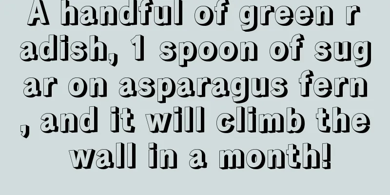 A handful of green radish, 1 spoon of sugar on asparagus fern, and it will climb the wall in a month!