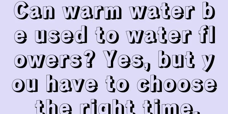 Can warm water be used to water flowers? Yes, but you have to choose the right time.