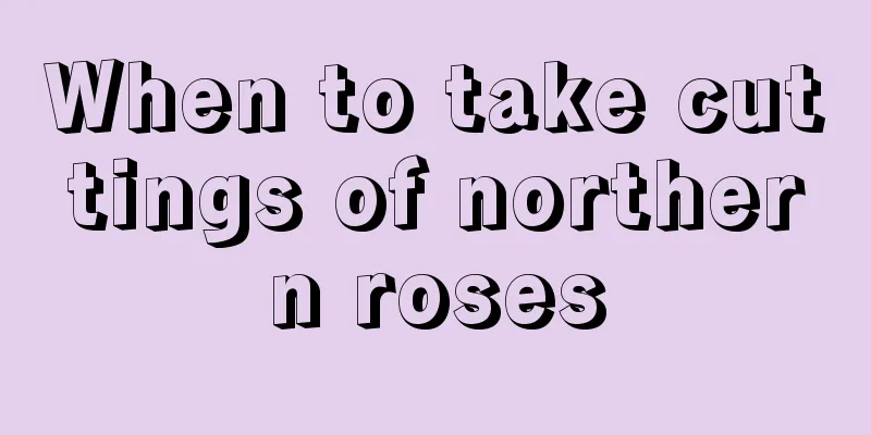 When to take cuttings of northern roses