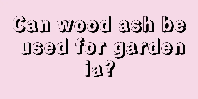 Can wood ash be used for gardenia?