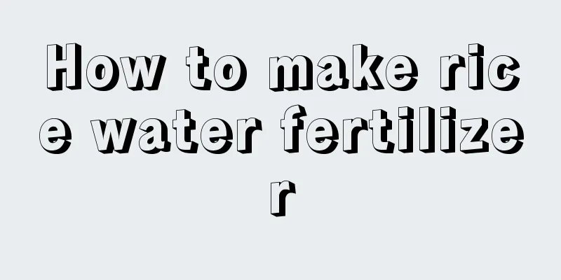 How to make rice water fertilizer