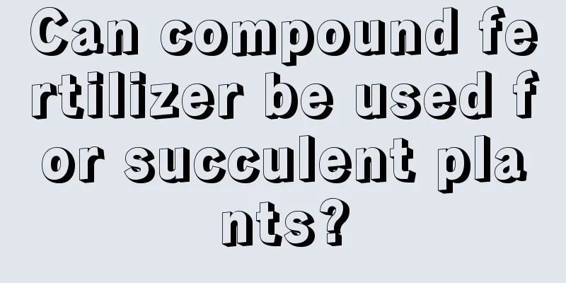 Can compound fertilizer be used for succulent plants?