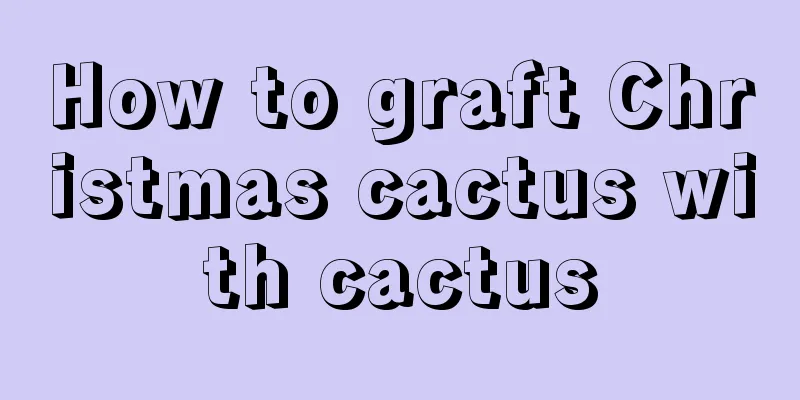 How to graft Christmas cactus with cactus