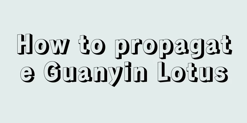 How to propagate Guanyin Lotus