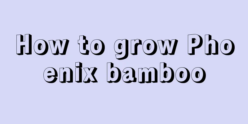 How to grow Phoenix bamboo