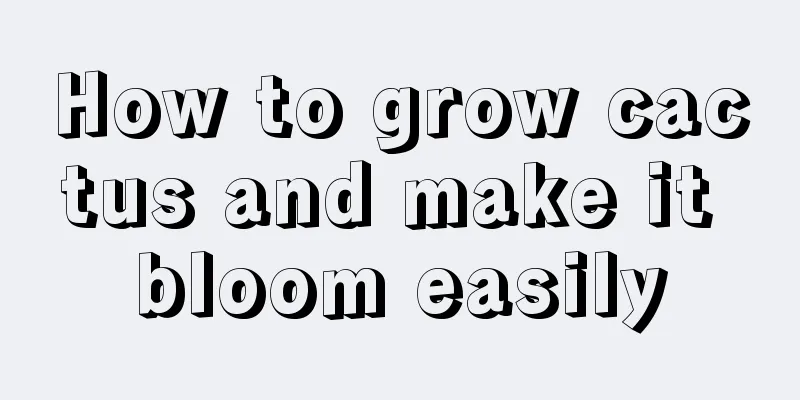 How to grow cactus and make it bloom easily