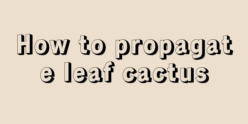 How to propagate leaf cactus