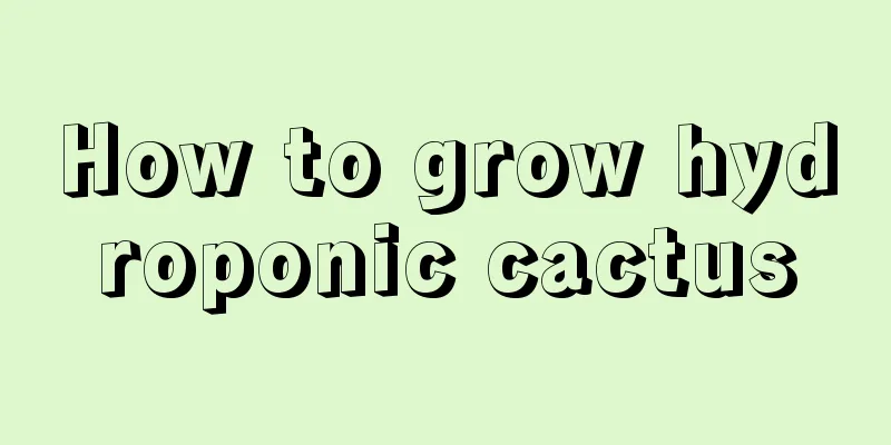 How to grow hydroponic cactus