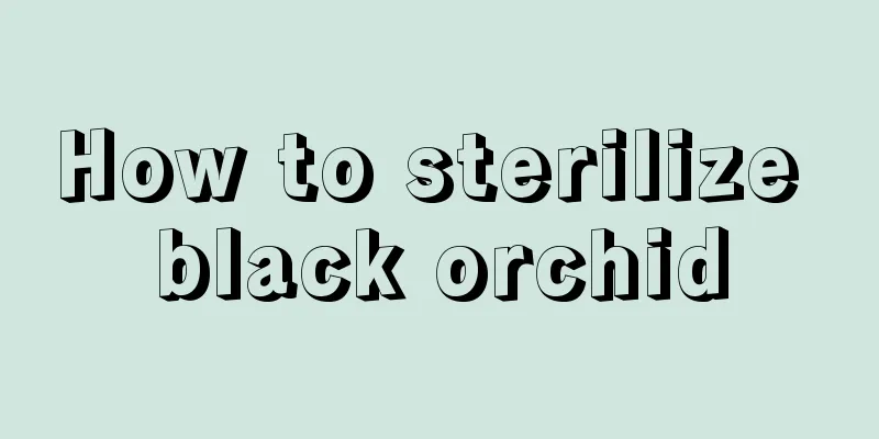 How to sterilize black orchid