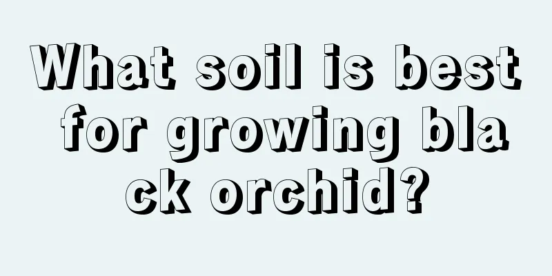 What soil is best for growing black orchid?