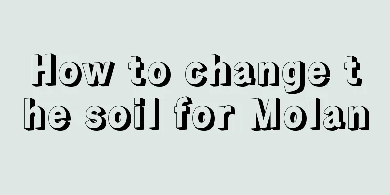 How to change the soil for Molan