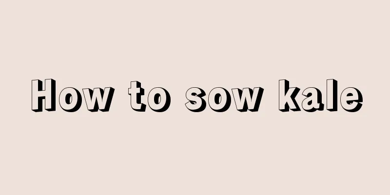 How to sow kale