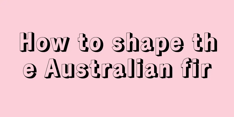 How to shape the Australian fir