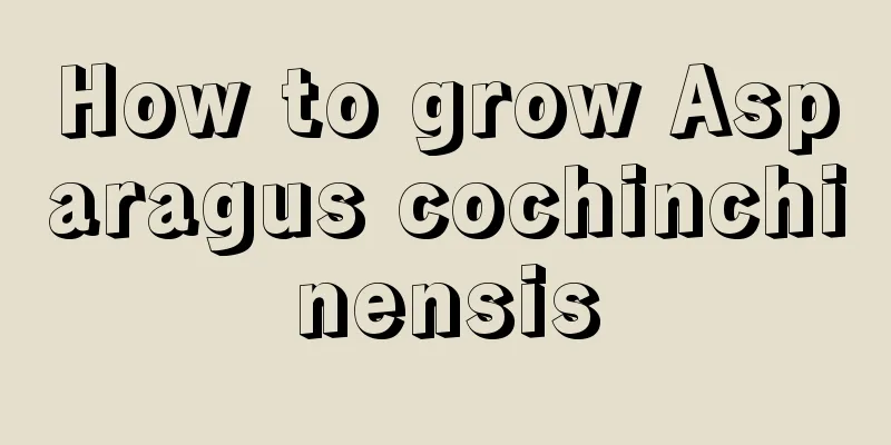 How to grow Asparagus cochinchinensis