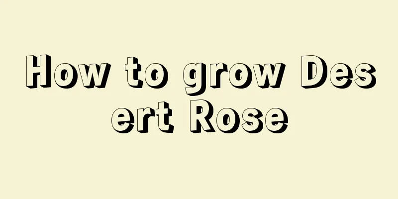 How to grow Desert Rose