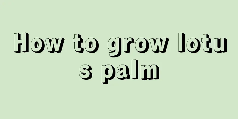 How to grow lotus palm