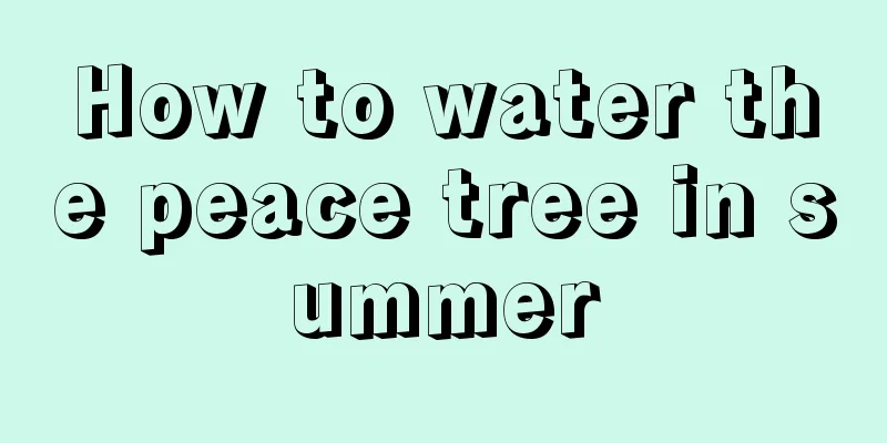 How to water the peace tree in summer