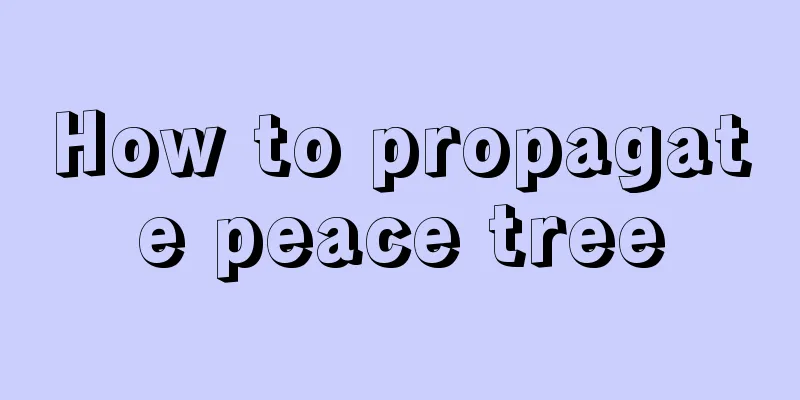 How to propagate peace tree