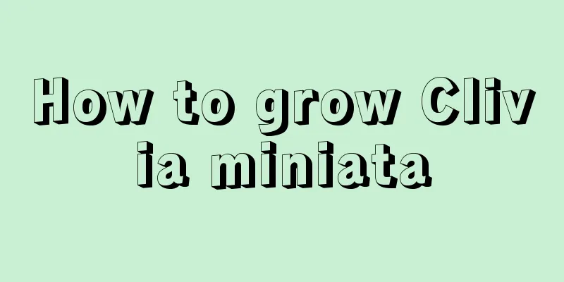 How to grow Clivia miniata