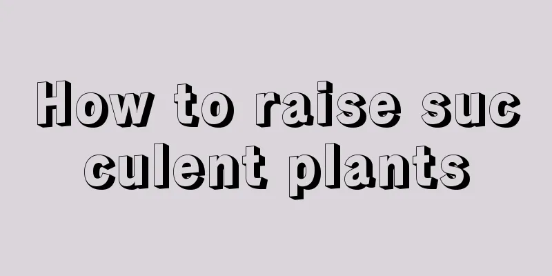 How to raise succulent plants