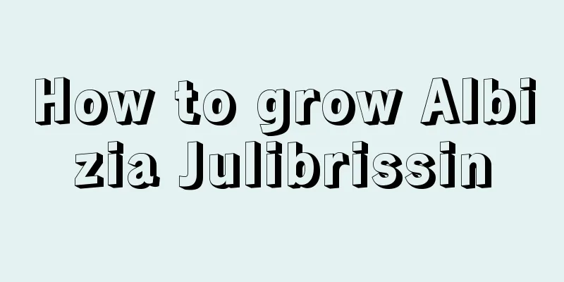 How to grow Albizia Julibrissin