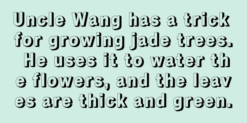 Uncle Wang has a trick for growing jade trees. He uses it to water the flowers, and the leaves are thick and green.