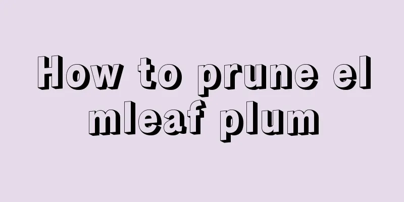 How to prune elmleaf plum