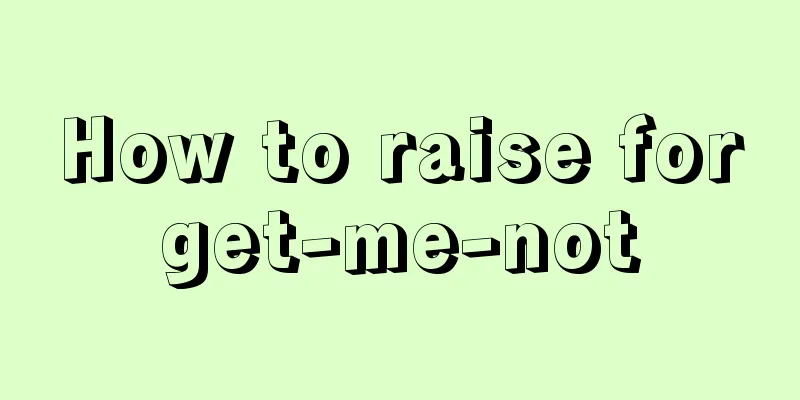 How to raise forget-me-not