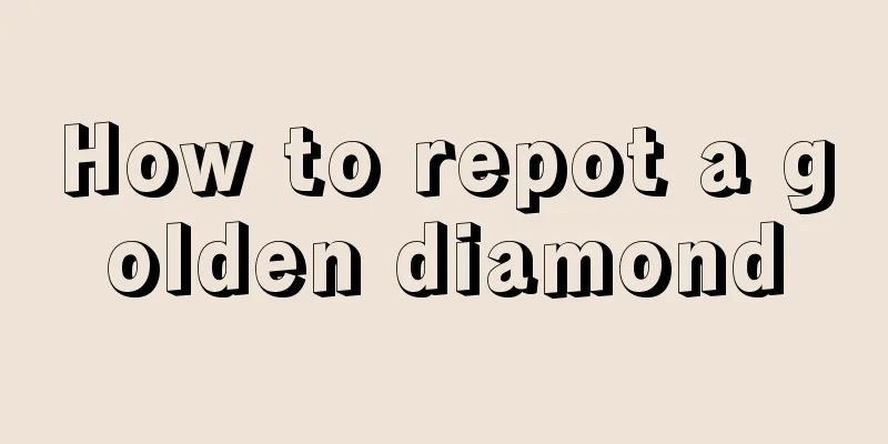 How to repot a golden diamond